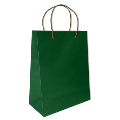 BOLSA BOND MEDIANA VERDE BANDERA VM E.12