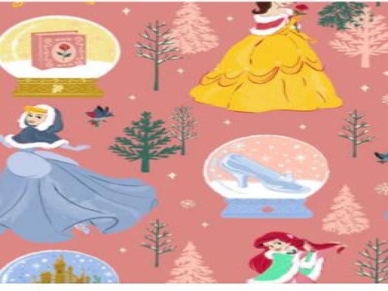 PAPEL COUCHE PRINCESAS NAV. DIPAK 50X70 CM. E.25 C.500