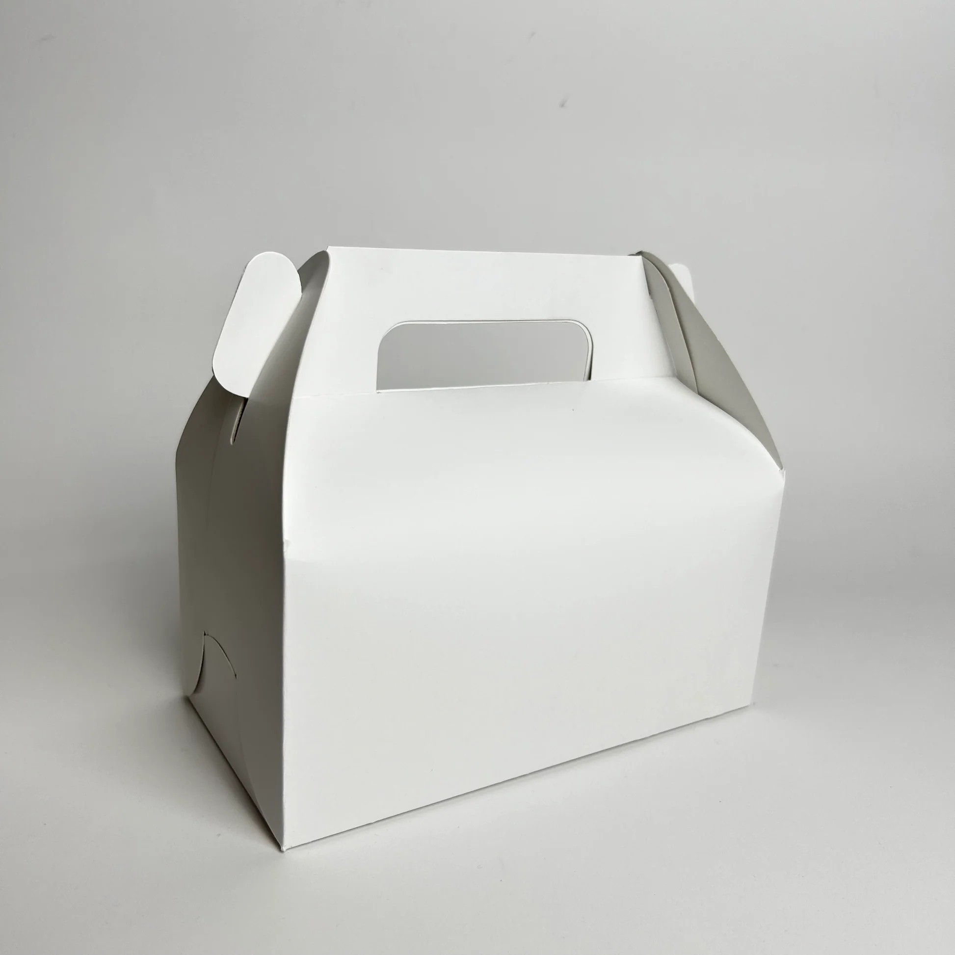 CAJA LONCHERA BLANCA GOSTECH 19X11X8.5CM. E.10