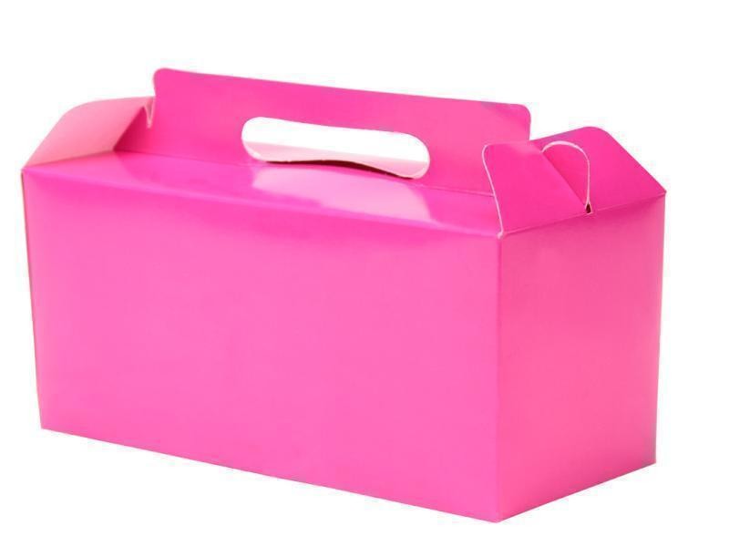 CAJA LONCHERA FIUSHA GOSTECH 19X11X8.5 CM. E.10