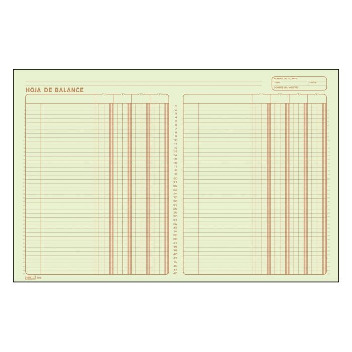 HOJA DE BALANCE 5010 PRINTAFORM DOBLE CTA. 50H. E.3 C24