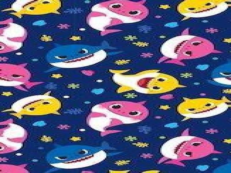 PAPEL COUCHE BABY SHARK GRANM 50X70 CM. E.25 C.1000