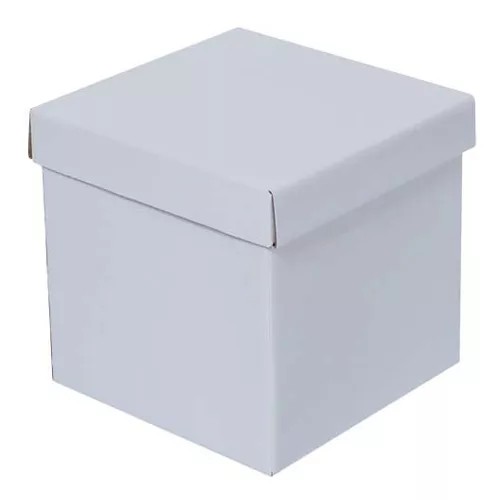 CAJA BLANCA CUBO 10 10X10X10 PADI JGO E.12