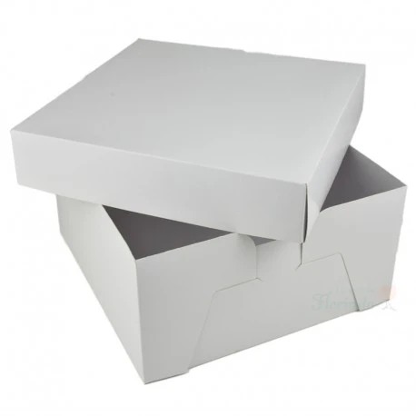 CAJA BLANCA PADI 30 42.5X29X6.5CM. JGOE10