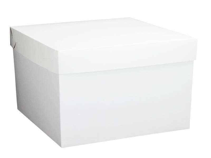 CAJA CUBO KRAFT BCA. 38X30X38CM 1 GOSTECH E10