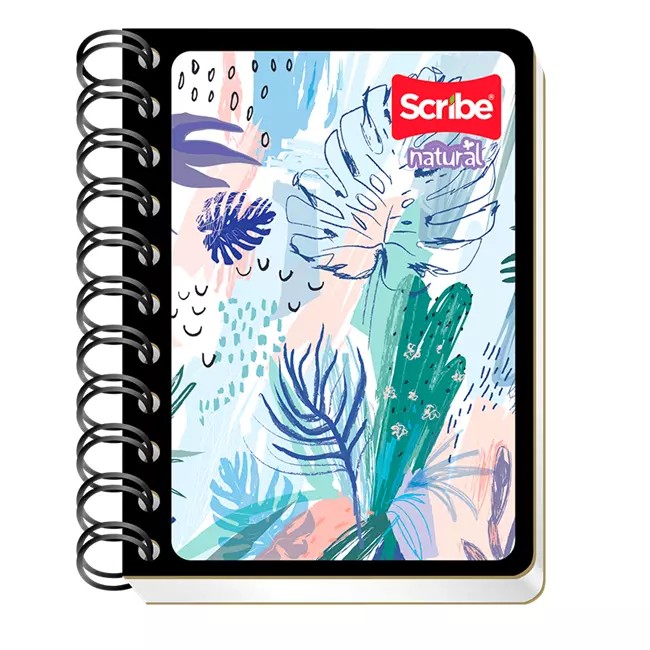 CUADERNO POCKET ESCOLAR SCRIBE 4200 RAYA ESP. 80H C18