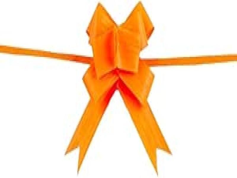 MOÑO CELOMAG. NEON MATE MED. NARANJA JANEL CJ.C50 C.20
