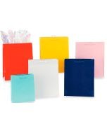 BOLSA CH. ITALIANA COL. LISOS GOSTECH 12.7X8.5X21.6 E.10