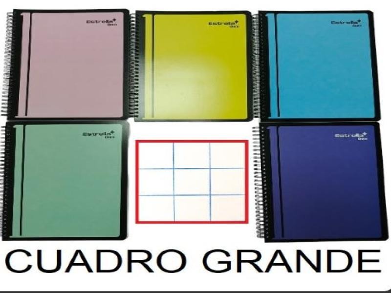 CUADERNO PROF.UNICO ESTRELLA 717 C7 100H. C.25