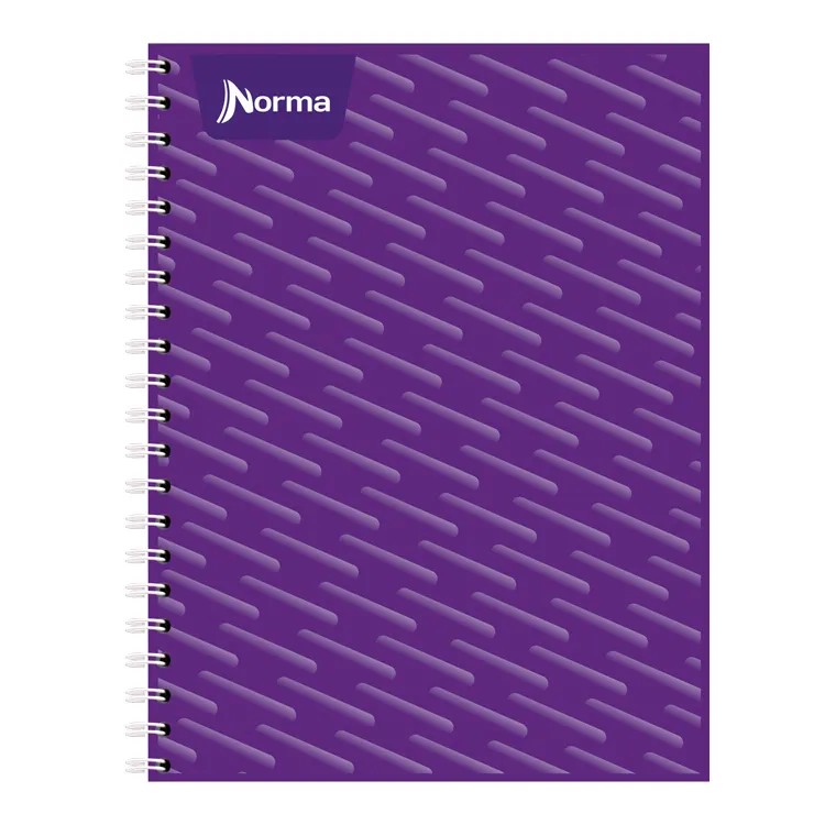 CUADERNO PROF. UNICOLOR NORMA 580815 C7 ESP. 100H. C.25
