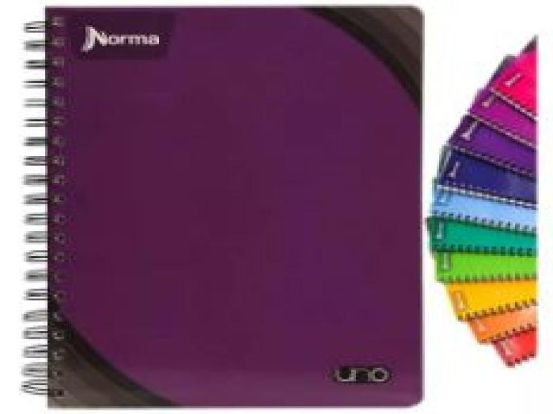CUADERNO PROF. UNO NORMA 529991 C5 100H. C.25