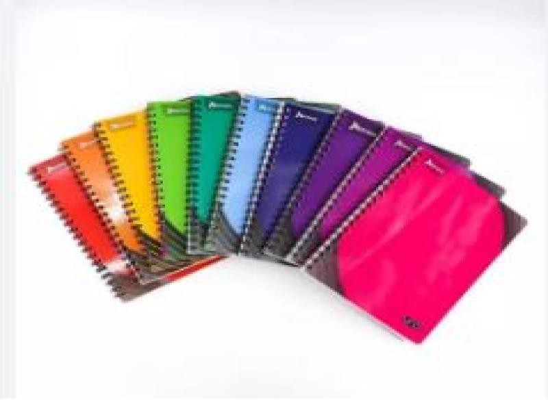 CUADERNO PROF. UNO NORMA 529991 C5 100H. C.25