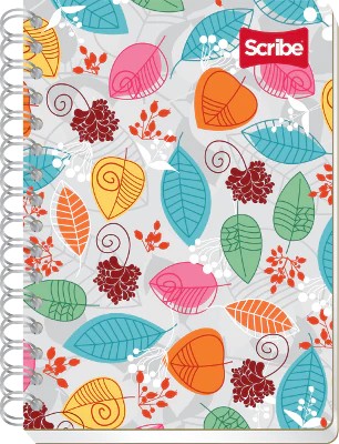 CUADERNO FRANC. NATURAL SCRIBE 6020 RAYA ESP. 100H. C.36