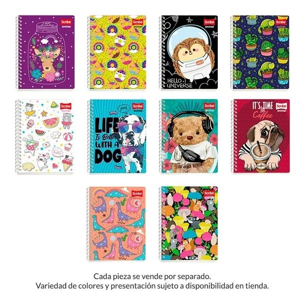 CUADERNO PROF. PICOLLAGE SCRIBE 4360 RAYA ESP. 90H. C.24