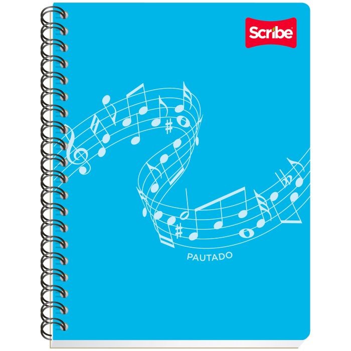 CUADERNO PROF. CLASICO SCRIBE 2908 PAUTADO ESP. 100H. C.24