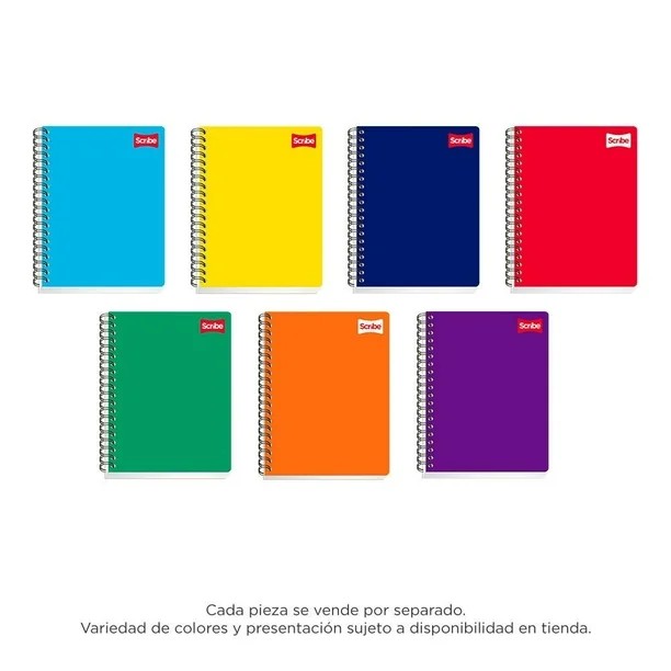 CUADERNO PROF. CLASICO SCRIBE 2180 RAYA ESP. 200H. C.12