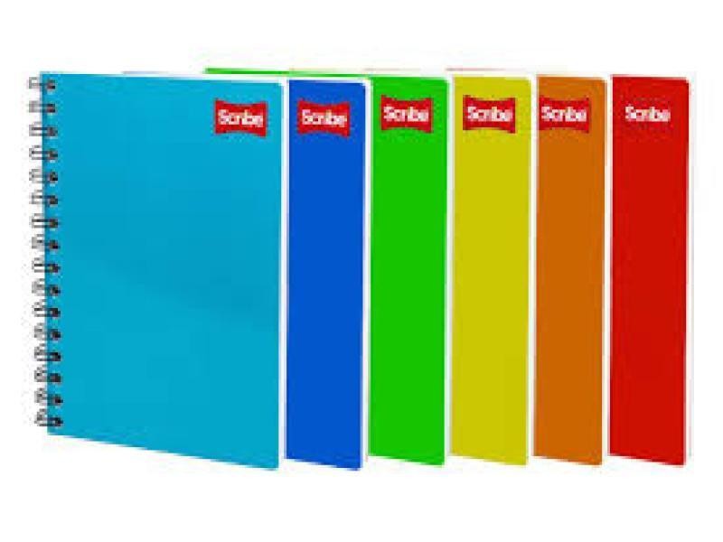 CUADERNO PROF. CLASICO SCRIBE 2900 RAYA ESP. 100H. C.24