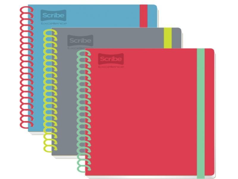 CUADERNO PROF. EXCELLENCE SCRIBE 9450 RAYA ESP.100H. C24