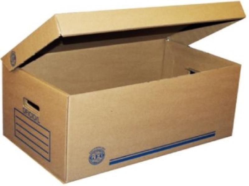 CAJA ARCHIVO CARTON CTA. 495X313X253CM. 9KGCM2 E25C250