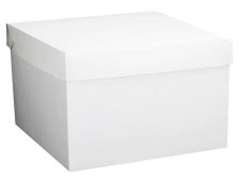 CAJA BLANCA CUBO PADI 15 15X15X15 CM. JGO E12