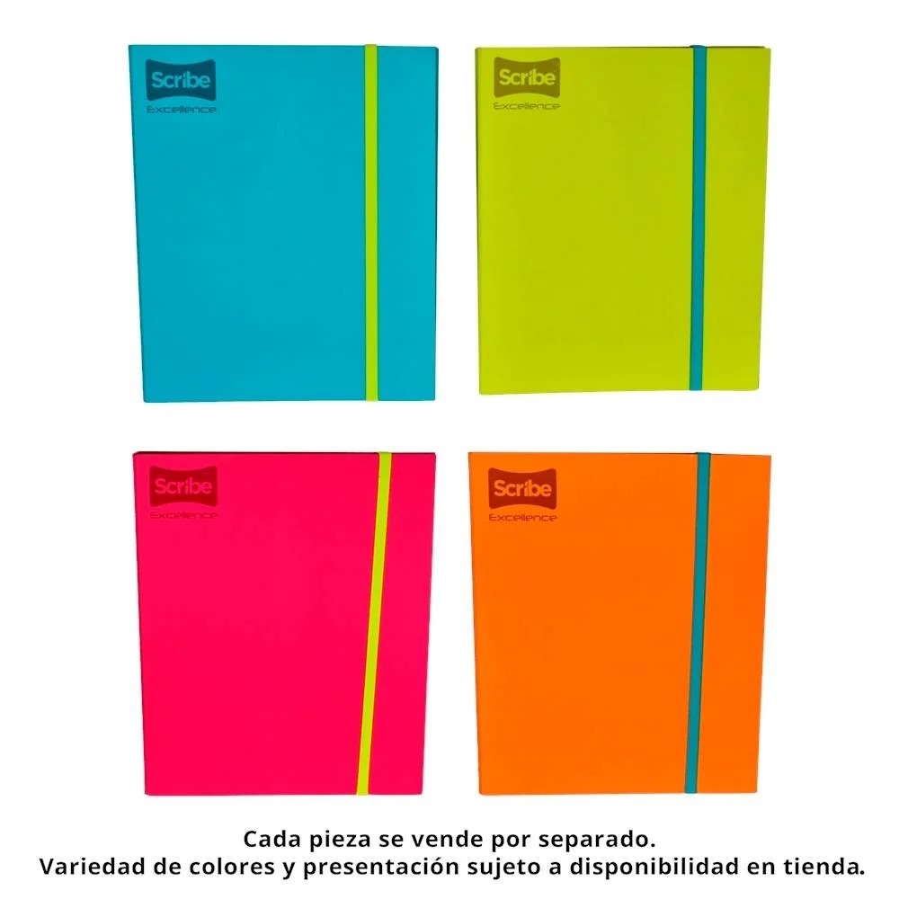 CARPETA PROF. CTA. EXCELLENCE SCRIBE 9870 RAYA 100H. C6