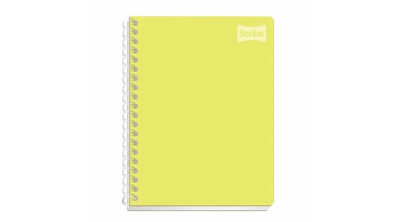 CUADERNO PROF. POLYCOVER SCRIBE 2050 RAYA ESP. 100H. C.24