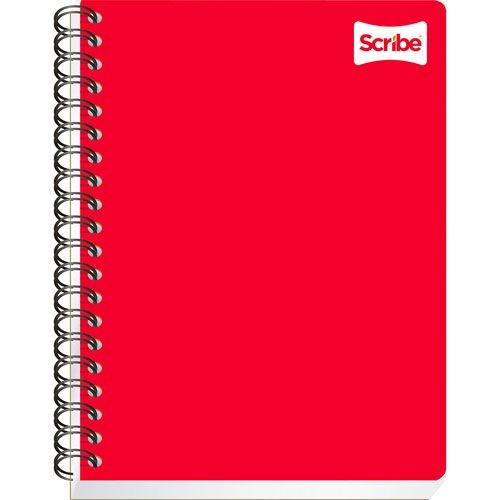 CUADERNO PROF. CLASICO SCRIBE 2187 MIXTO ESP. 200H. C.12
