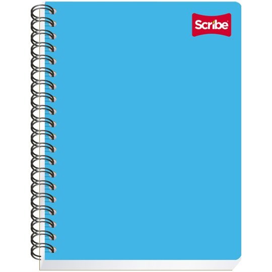 CUADERNO PROF. CLASICO SCRIBE 2904 D.RAYA ESP. 100H. C.24