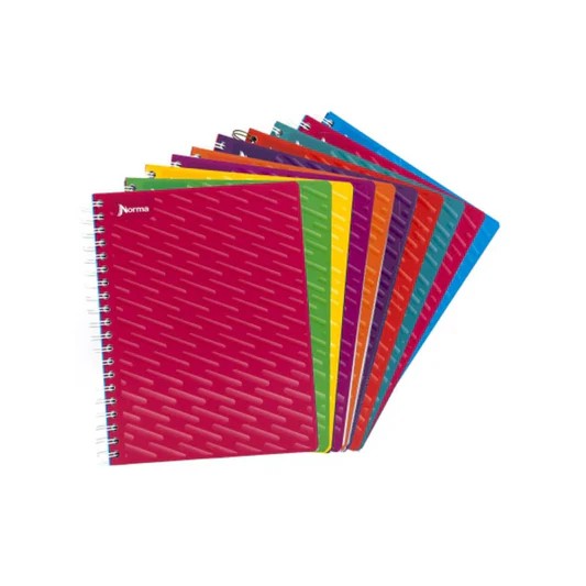 CUADERNO PROF. COLOR NORMA 520007 C7MM. ESP. 100H. C.25