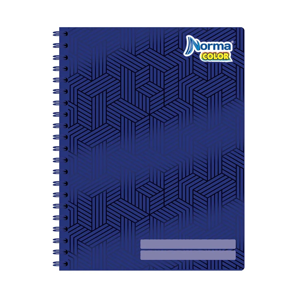 CUADERNO PROF. COLOR NORMA 520008 RAYA ESP. 100H. C.25
