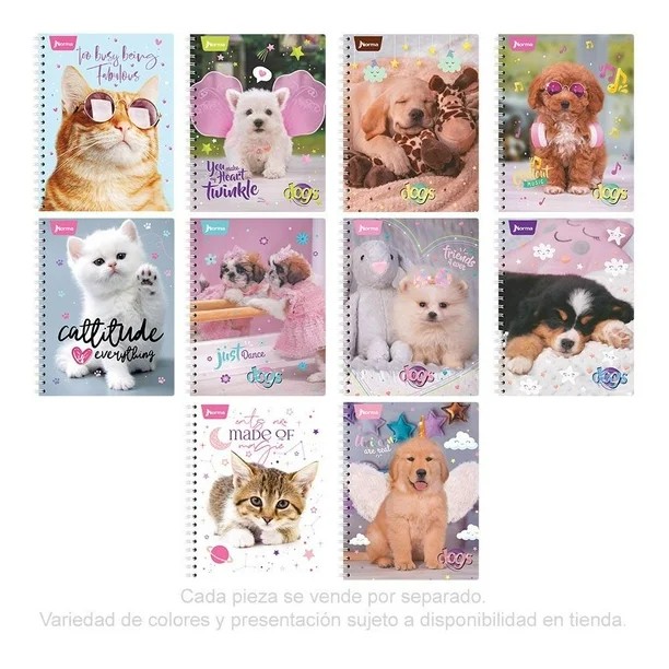 CUADERNO PROF. DOGS NORMA 520739 RAYA ESP. 100H. C.25