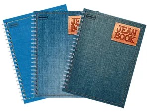 CUADERNO PROF. JEAN BOOK NORMA 524176 C5MM. ESP. 100H.C25