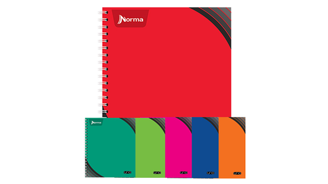 CUADERNO PROF. UNO NORMA 529989 RAYA ESP. 100H. C.25