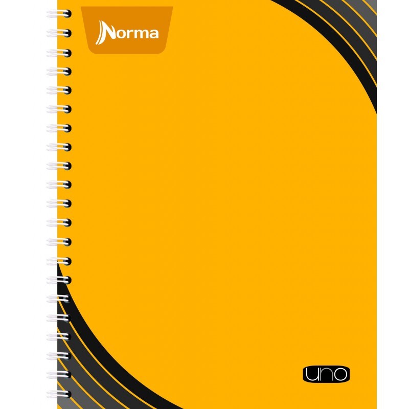 CUADERNO PROF. UNO NORMA 529994 C7 100H. C.25
