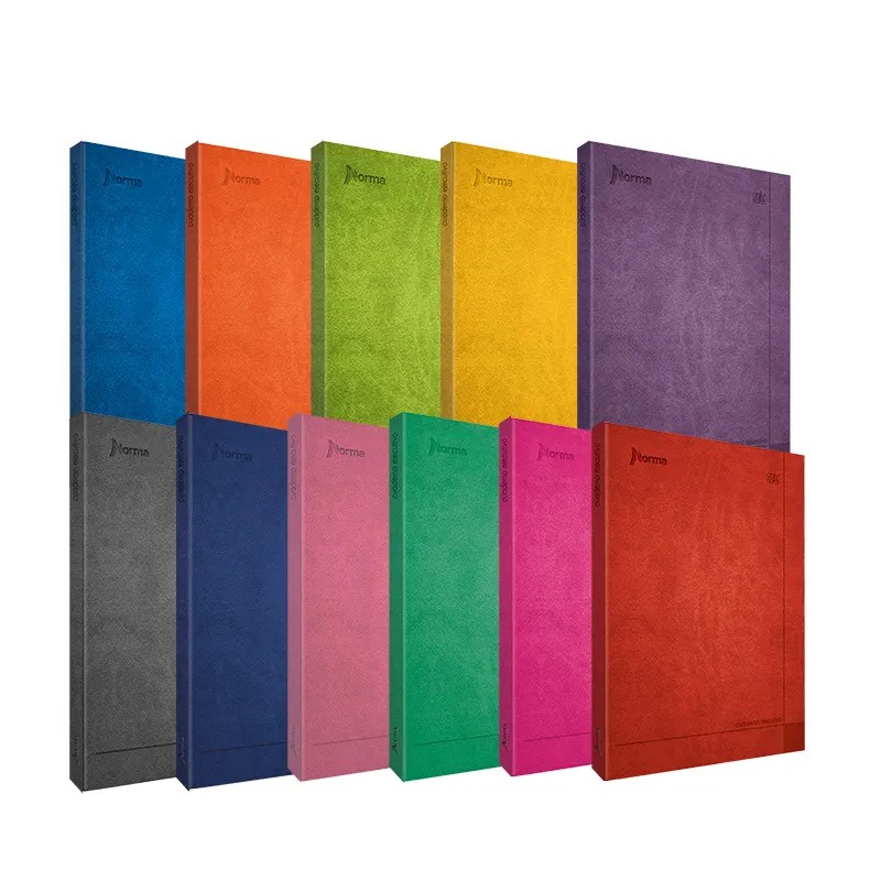 CUADERNO FRANC. DAILY NORMA 580641 RAYA ESP. 100H C12