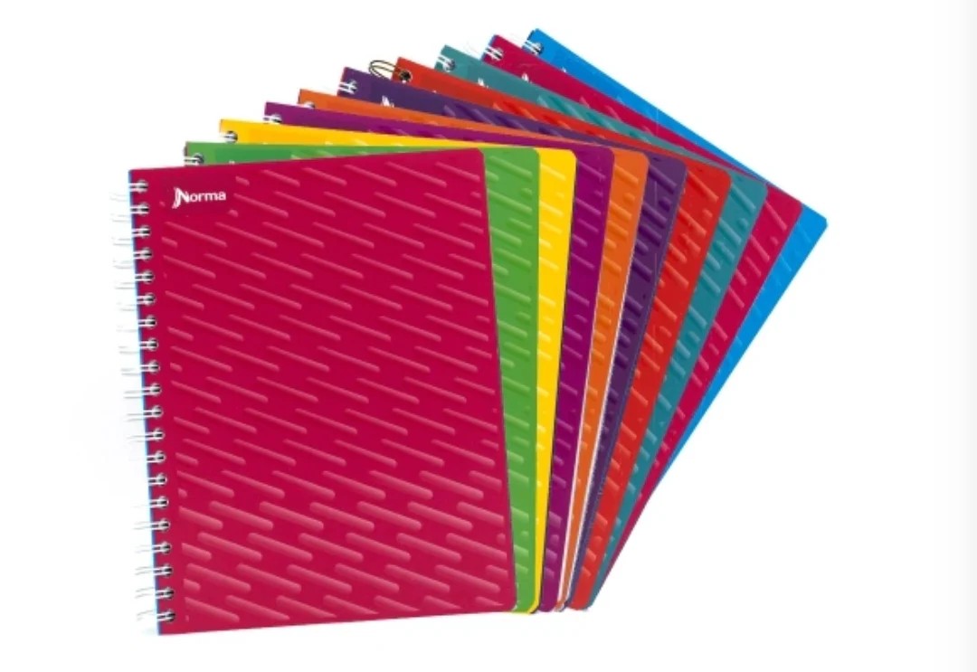 CUADERNO PROF. UNICOLOR NORMA 580813 RAYA ESP. 100H. C.25