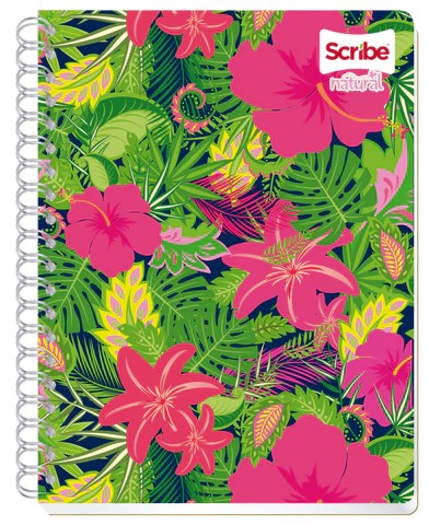 CUADERNO PROF. NATURAL SCRIBE 6060 RAYA ESP. 100H. C.24