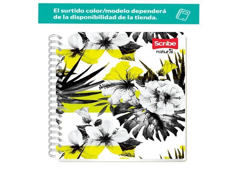 CUADERNO PROF. NATURAL SCRIBE 8080 RAYA ESP. 200H. C.12