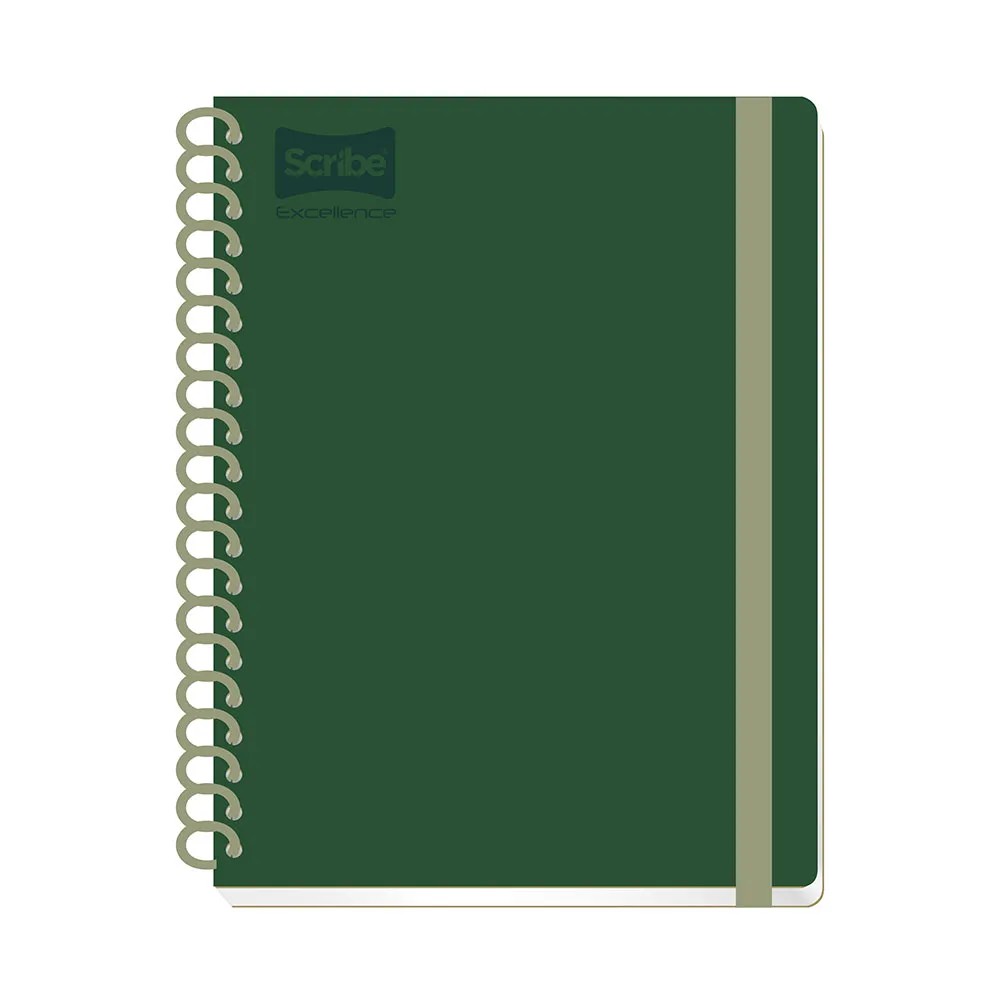 CUADERNO PROF. EXCELLENCE SCRIBE 9490 RAYA ESP.200H. C12