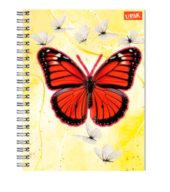 CUADERNO PROF.MARIP. EN EL CIELO DIPAK RAY ESP 100H SAM C.18