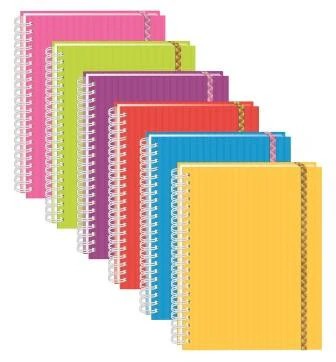 CUADERNO PROF. ARCOIRIS PRINTAFORM RAYA ESP. 100H. C.12