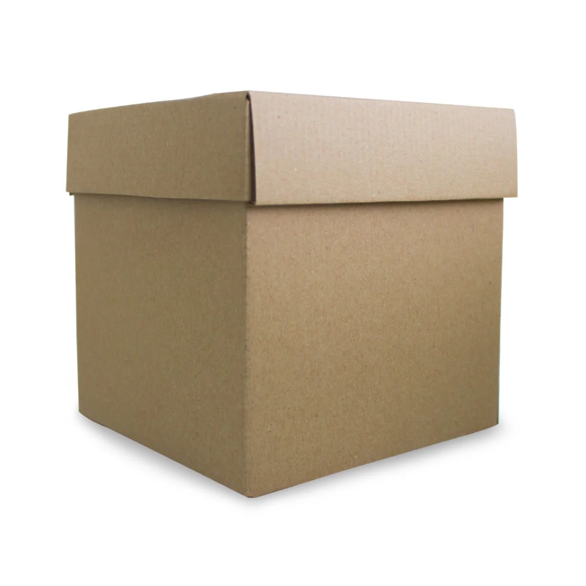 CAJA CUBO KRAFT NAT. 16X16X16 CM E1