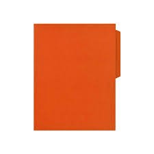 FOLDER CTA. HOTCOLORSFLASHFILE INT. NARANJA E.100 C.500
