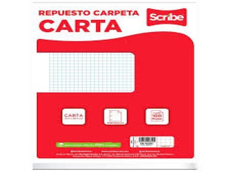 HOJA PCARPETA CTA. SCRIBE 3402 C5MM PAQ.C100H. C.24