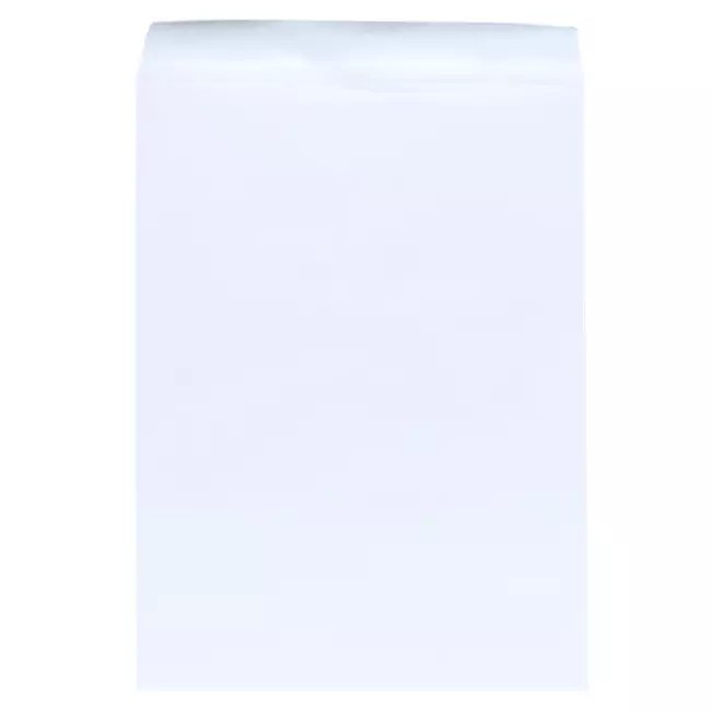 SOBRE BOLSA OFI. 13 - IA0313 BOND BCO. PC 60KG.E.50500