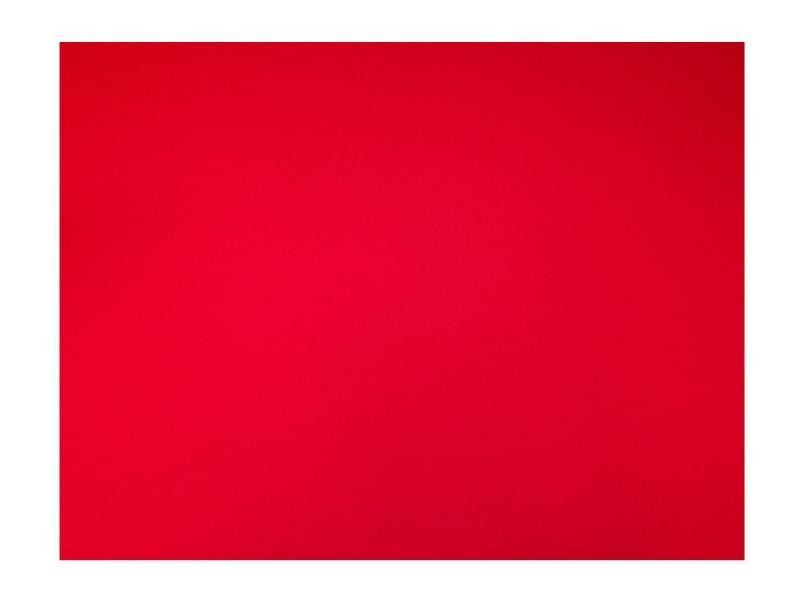 CARTULINA IRIS 2C 50X65CM 180G VINO 100500