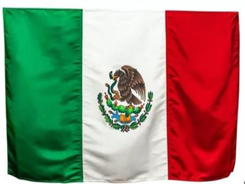 BANDERA TELA 5 48CM LARGO E.1