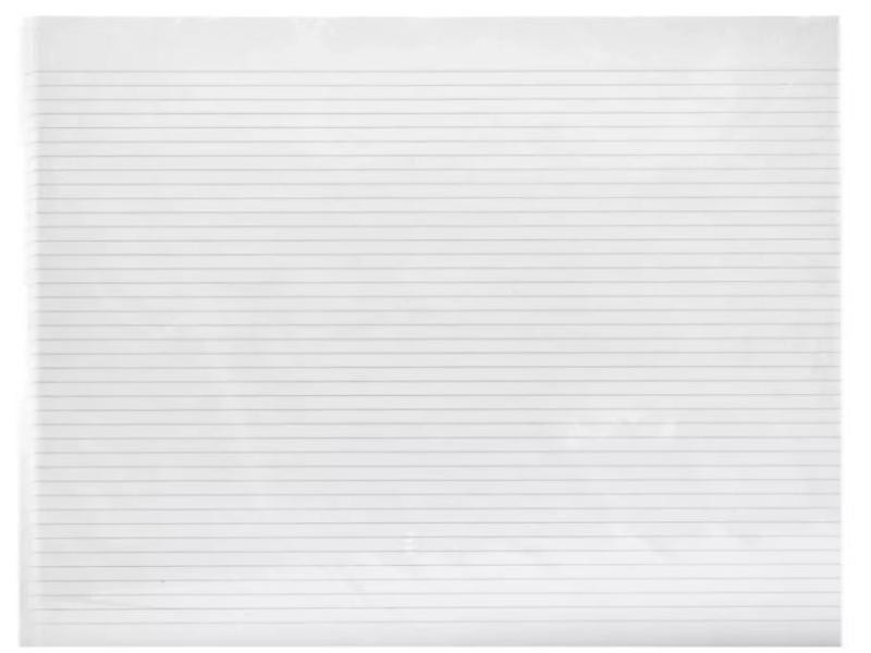 PAPEL MINISTRO DOBLE OFICIO RAYA DIPAO PAQ. C25 PZAS C.50