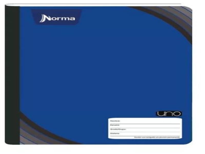 CUADERNO PROF. COSIDO UNO 582881 RAYA 100H C30