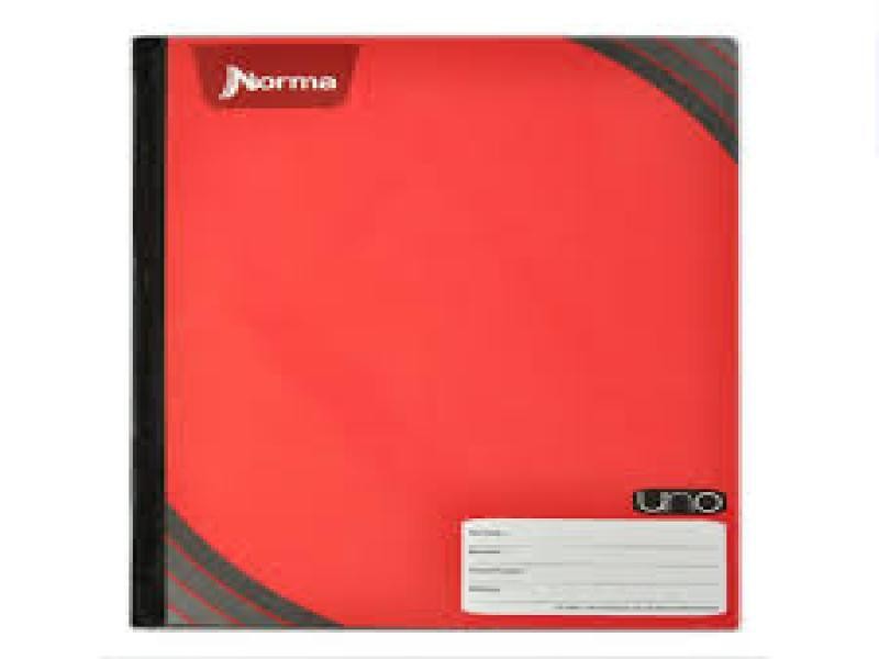 CUADERNO PROF. COSIDO UNO 582882 C5 100H C30